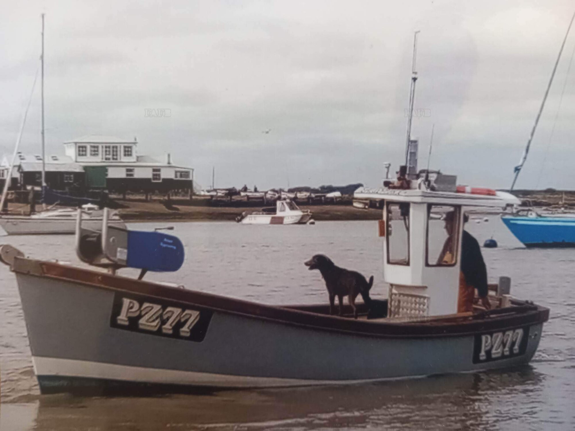 Large picture for advert 130323