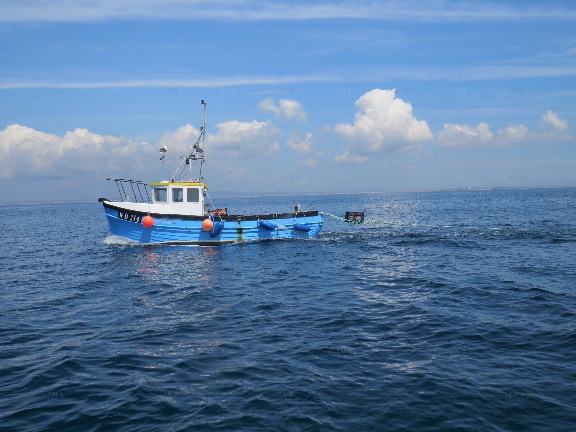 Large picture for advert 101073