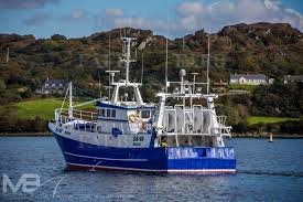 Large picture for advert 109573