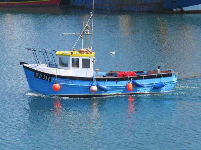Large picture for advert 101073