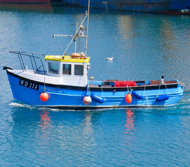Large picture for advert 101073