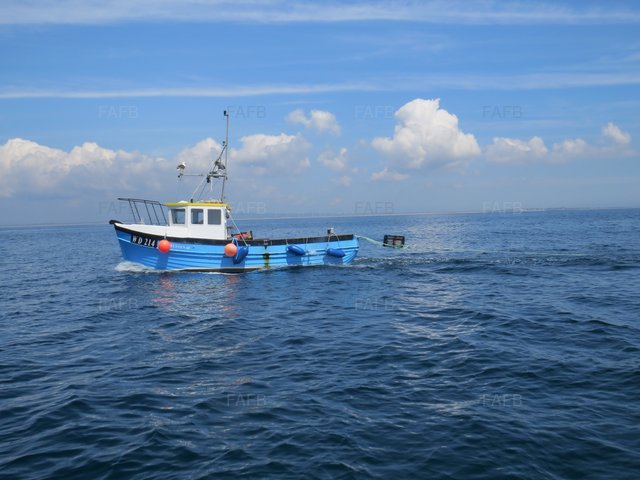 Large picture for advert 101073