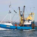 Extra picture for advert 116173