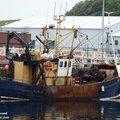 Extra picture for advert 97123