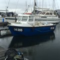 Extra picture for advert 108173